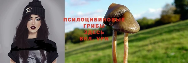 СК Абинск