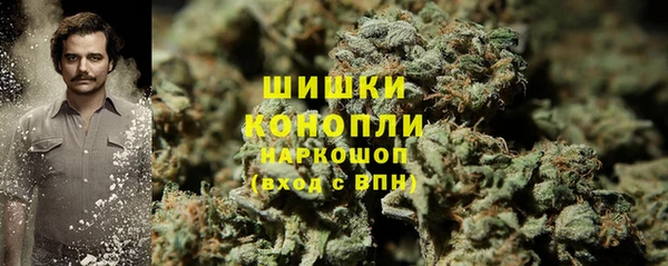 шишки Алексин