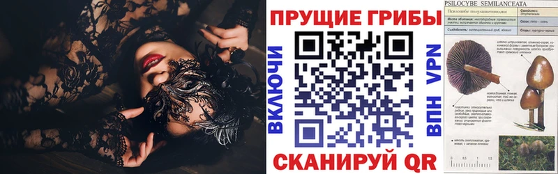 где продают   Ивантеевка  Галлюциногенные грибы Cubensis 