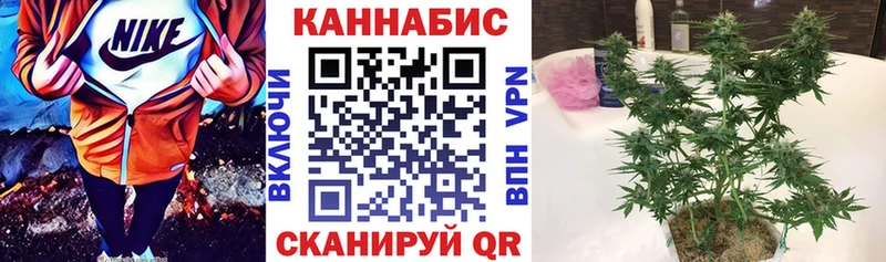 Конопля индика Ивантеевка